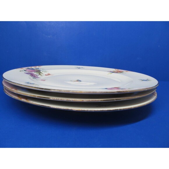 Epaig Czechoslovakia Pattern #6376 Floral Set Of Three 10 1/4" Dinner Plates - Picture 9 of 16